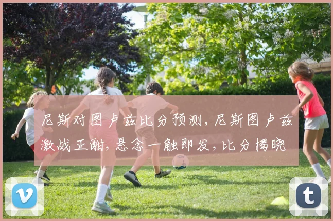 尼斯对图卢兹比分预测,尼斯图卢兹激战正酣,悬念一触即发,比分揭晓在即